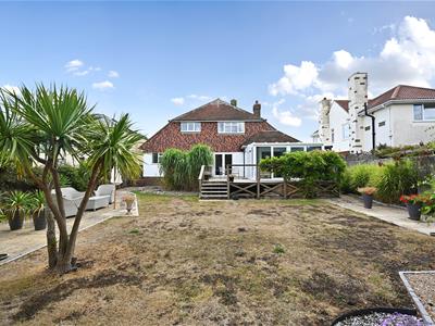 Picture 13